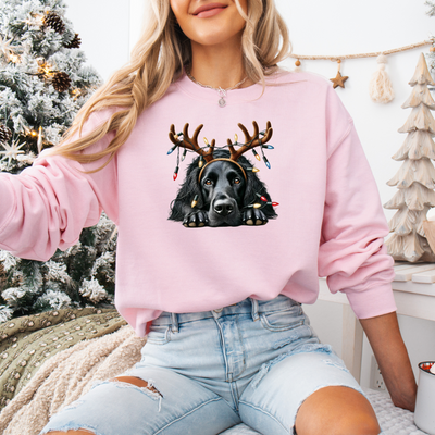 Christmas | Dog jumper with reindeer motif