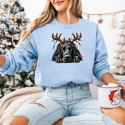 Christmas | Dog jumper with reindeer motif