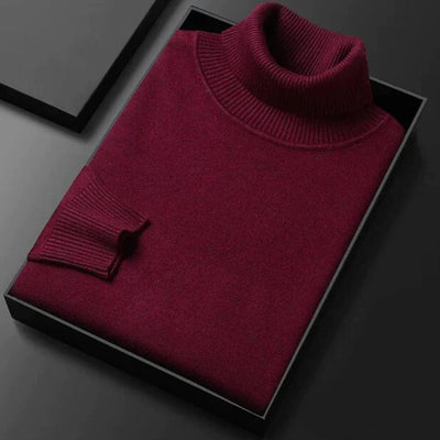 Alexander | Stylish turtleneck jumper for men