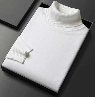 Alexander | Stylish turtleneck jumper for men
