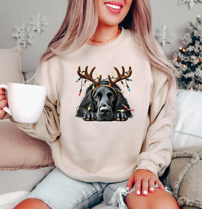 Christmas | Dog jumper with reindeer motif